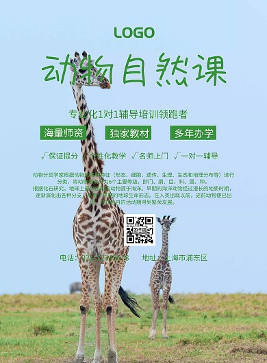 简约风格动物自然课宣传海报