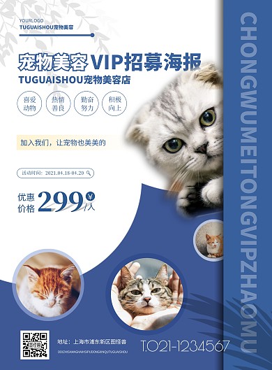 宠物美容VIP招募商务生活服务海报