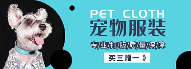 简约大气摄影宠物狗狗电商海报