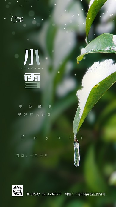 二十四节气小雪传统节日通用摄影图海报