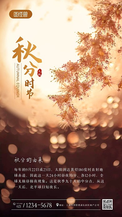 秋分的由来节气知识摄影图海报