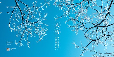 摄影风大雪节气问候横版海报