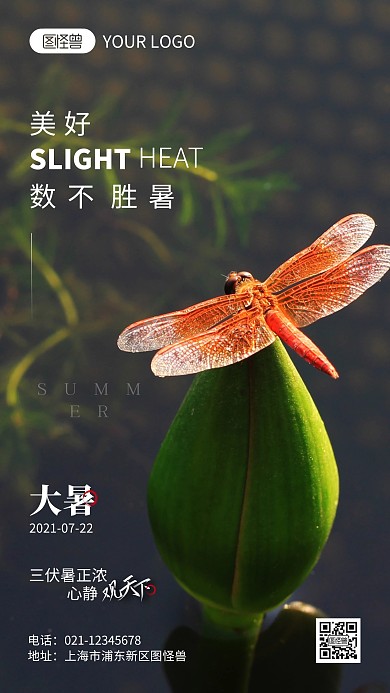 大暑节气简约风摄影图海报