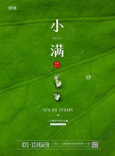 简约小满传统节气祝福海报