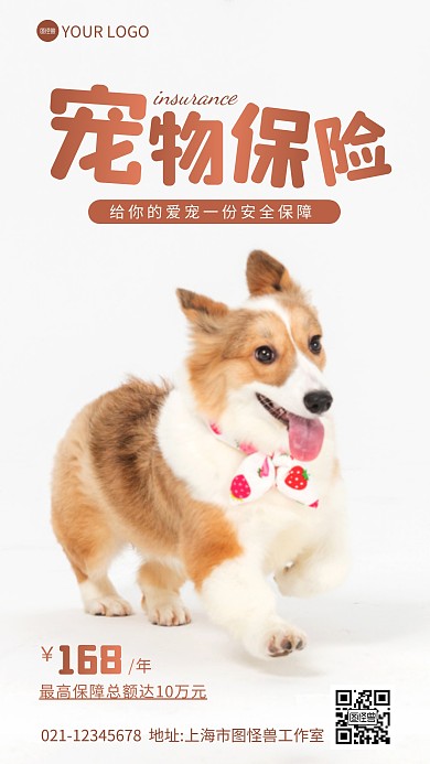 宠物保险宣传健康保障摄影图海报