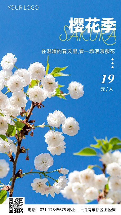 简约风樱花季赏花特惠摄影图海报