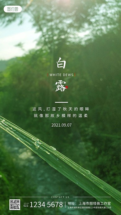 白露传统节日节气简约风摄影图海报