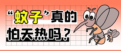 蚊子怕热简约彩色微信公众号封面首图