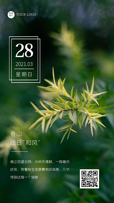早安高大上摄影简约绿色日签