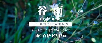 摄影风谷雨二十四节气公众号封面
