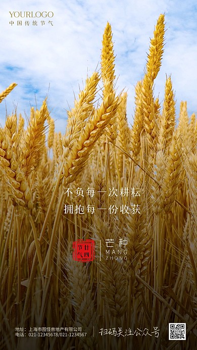 二十四节气之芒种小麦简约摄影图海报