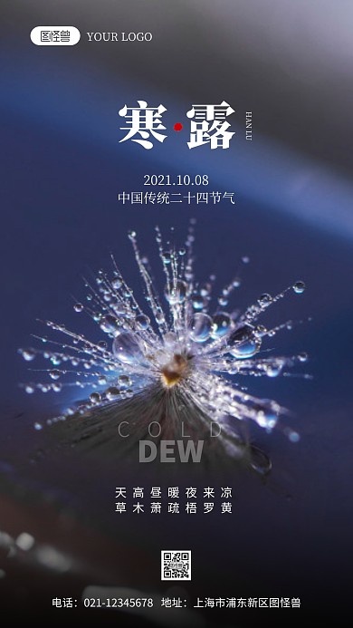 寒露传统节气简约风摄影图海报