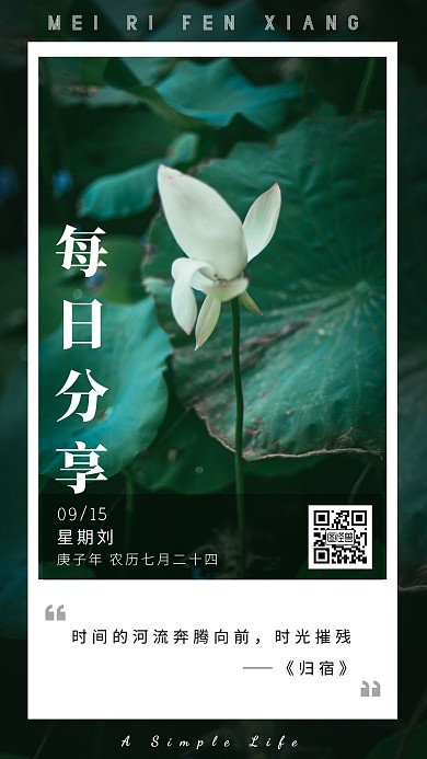 简约绿色每日分享相符日签