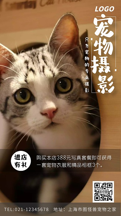 宠物摄影进店有礼简约手机营销海报
