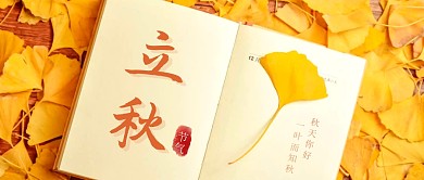 摄影枫叶立秋节气书本银杏叶创意封面首图