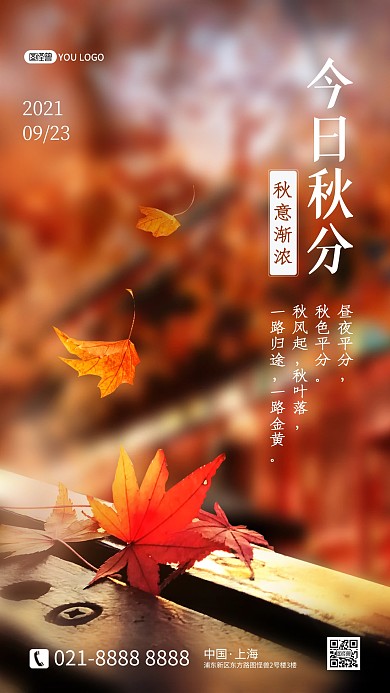 秋分传统节气秋季落叶摄影图海报