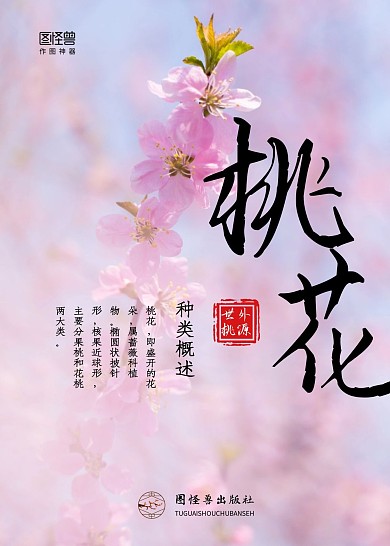 桃花粉色文学书籍封面