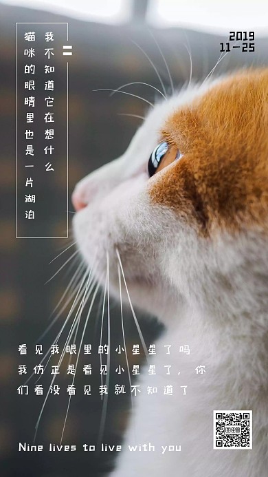 猫咪侧面简约手机海报