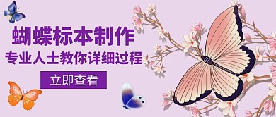 蝴蝶标本制作紫色创意红包封面