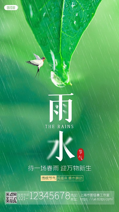 绿色摄影图叶子水珠雨水节气手机海报