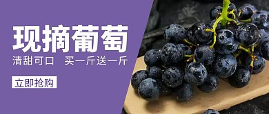 葡萄紫色创意公众号封面首图