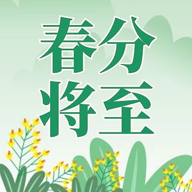 春分绿色卡通简约红包公众号次图