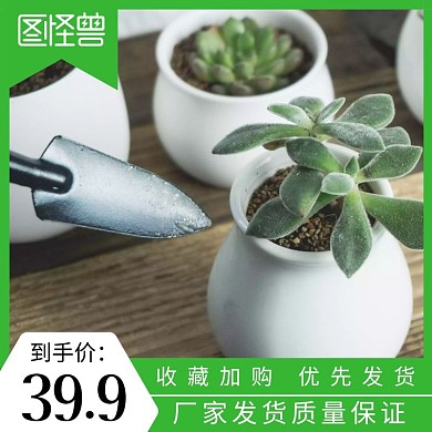 植物花盆托盘主图直通车