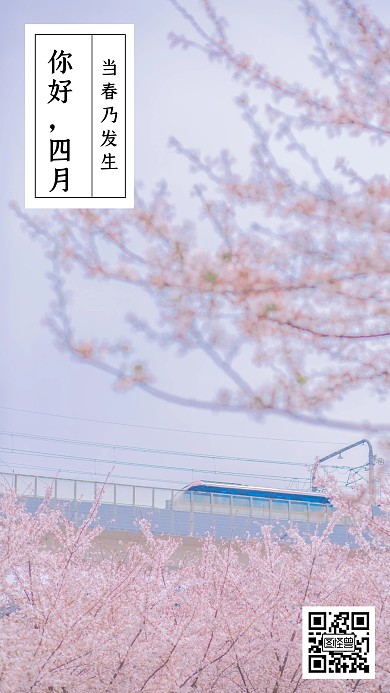 你好四月春天春季樱花花问候手机日签