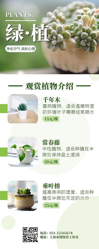 绿植介绍简约绿色宣传营销长图