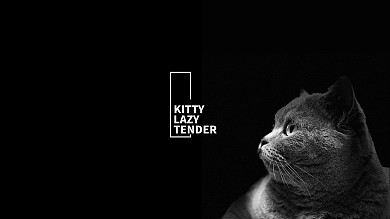 简约质感萌宠猫咪粉色极简风电脑桌面