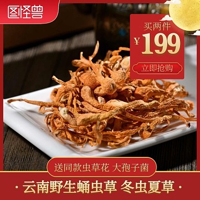 蛹虫草红色药材简约主图直通车