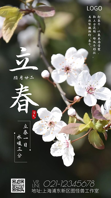 立春习俗宣传手机宣传海报
