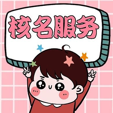 核名服务通用简约粉色公众号次图