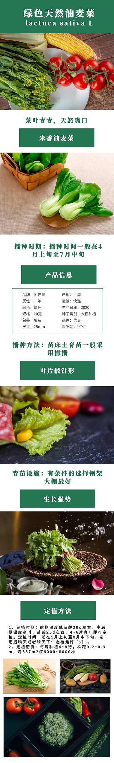 绿色简约油麦菜详情页