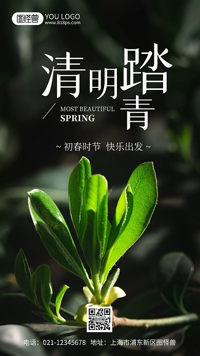 清明时节踏春摄影风手机海报