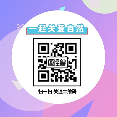 扫码关注公众号配图