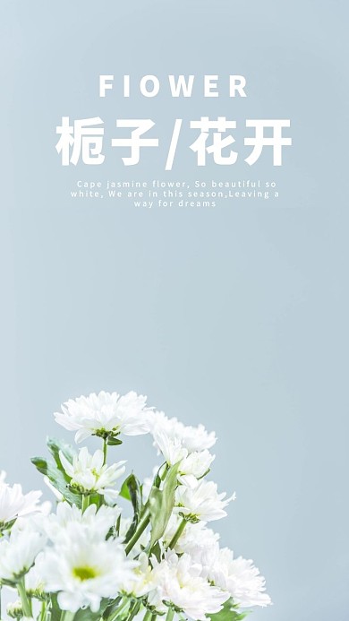 浅蓝色简约栀子花手机壁纸