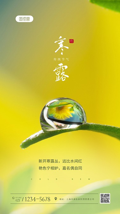 简约清新唯美寒露节气祝福问候摄影图海报