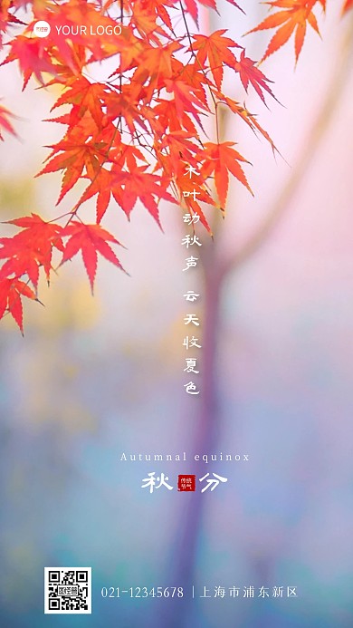 秋分传统节气诗词枫叶摄影图海报