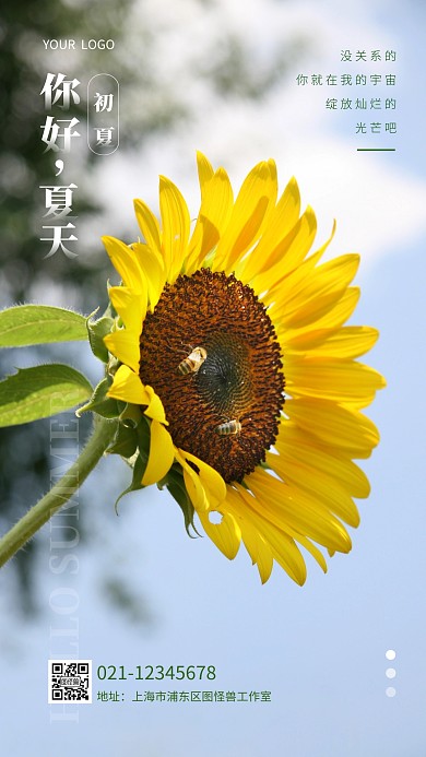 你好夏天小清新简约摄影图海报