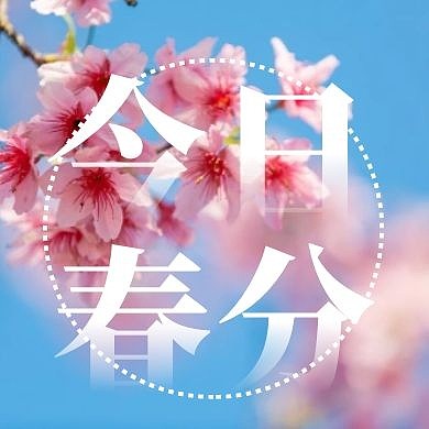 摄影樱花春天春分今日春分封面次图