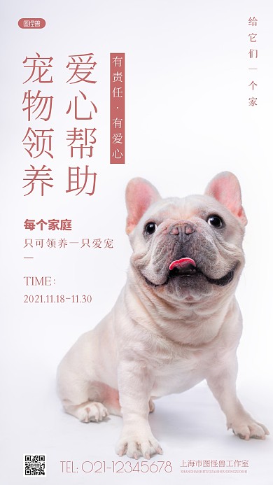 简约风宠物领养宣传摄影图海报