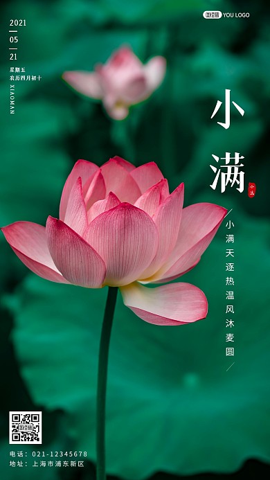 早安健康小满荷花复古简约日签每日一签