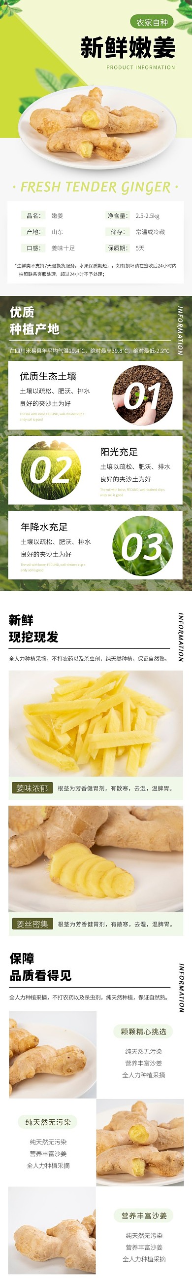 嫩姜简约清新绿色蔬菜食品详情页