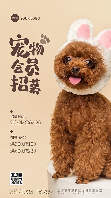 简约风宠物会员招募优惠活动摄影图海报