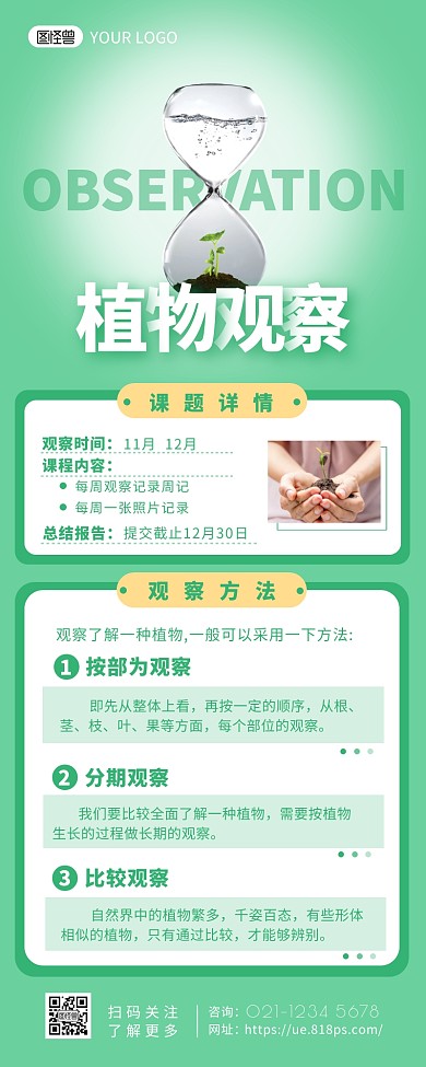 植物观察课程介绍简约营销长图
