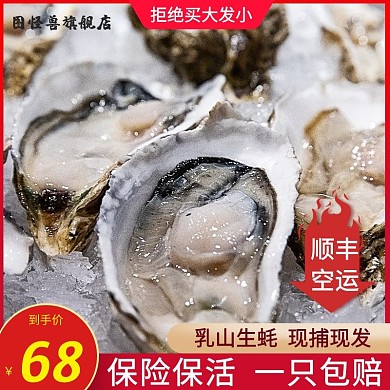 乳山生蚝海鲜水产鲜活5斤海蛎子新鲜牡蛎