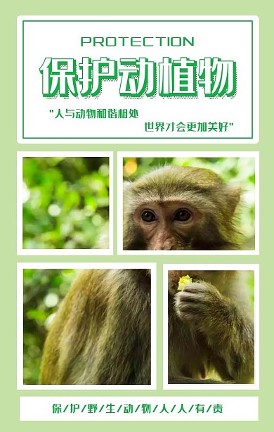 保护野生动植物