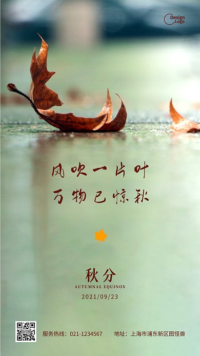 秋分二十四节气落叶摄影图海报
