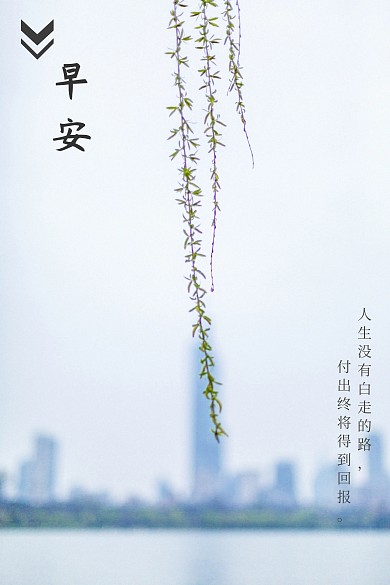 早安正能量语录小清新公众号配图
